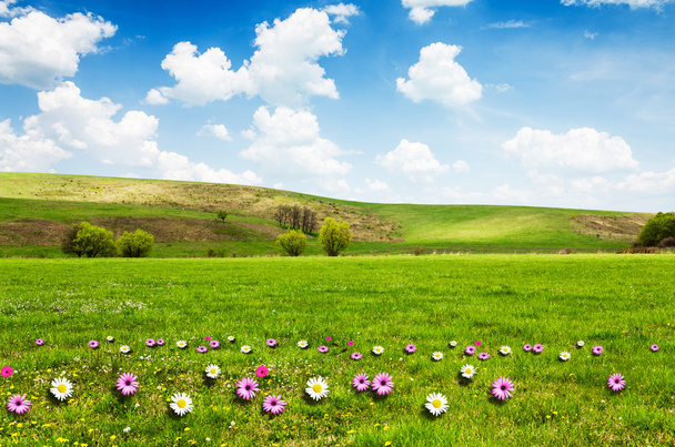 ふわふわ白い雲と花の草原で晴れた日 - 写真・画像