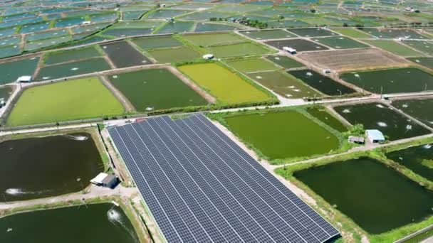 Aerial view of Solar panel farm on  fish pond for electricity generation - Imágenes, Vídeo