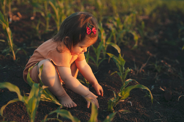 Caucasian baby girl sitting in a corn field playing with ground. Having fun. Country life. Nature landscape. Spring, summer garden. - Foto, Imagen