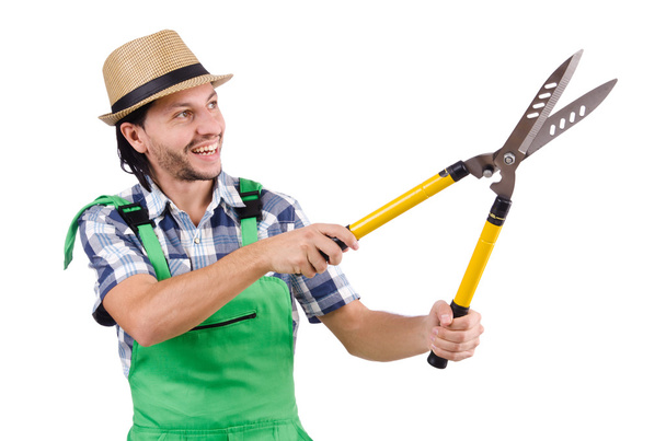 Gardener with secateurs - Photo, Image