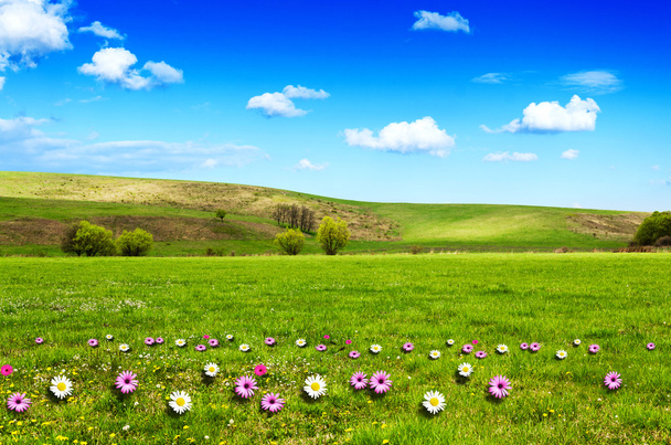 sonniger Tag auf der Blumenwiese mit flauschig weißen Wolken - Foto, Bild