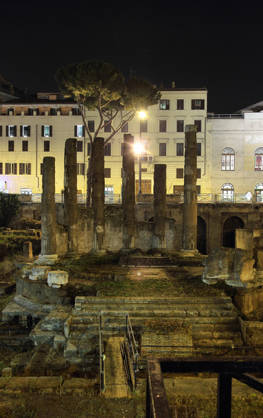 Area Sacra Roman Temple - Zdjęcie, obraz