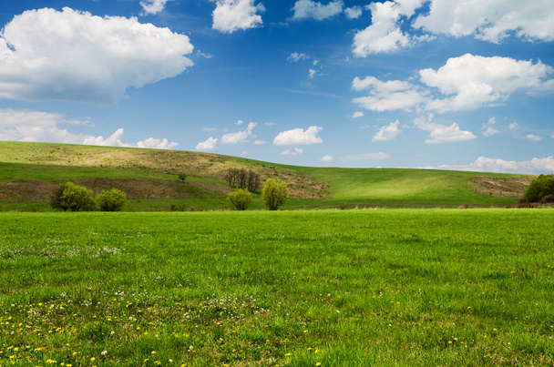 Dia ensolarado no prado com nuvens brancas fofas
 - Foto, Imagem