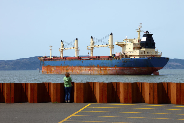 Cargo navire transport maritime
. - Photo, image
