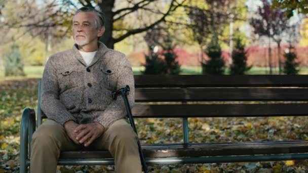 Χαμογελώντας γέρος καυκάσιος κάθεται στον πάγκο στο πάρκο κατά τη διάρκεια του φθινοπώρου. Πυροβολήθηκε με κόκκινη κάμερα ηλίου σε 8K   - Πλάνα, βίντεο