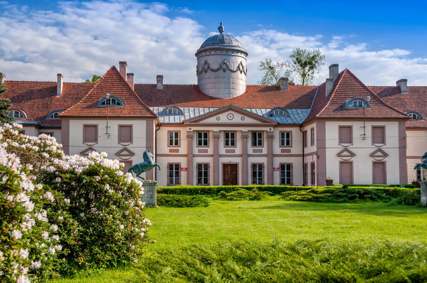 Palace of Maltzan family, from the late 18th century. Milicz, Lower Silesian Voivodeship, Poland. - Foto, imagen