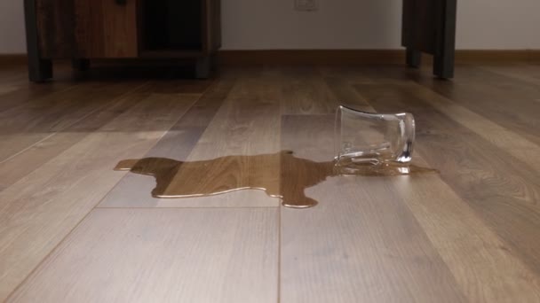 Glass of water spilled to the new laminate floor of wood - Séquence, vidéo