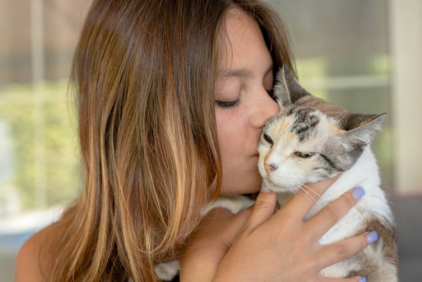 Beautiful woman at home holding and hug her lovely fluffy cat. Gray tabby cute kitten with green eyes. Pets, friendship, trust, love, lifestyle concept. Friend of human. Animal lover. Close up. - Foto, afbeelding