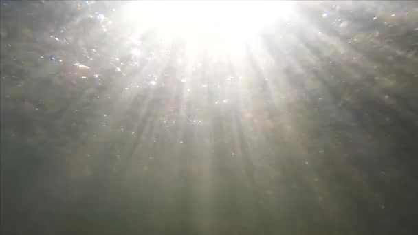 Υποβρύχια τοπίο των ακτίνων του ήλιου σε ένα ποτάμι βουνό - Πλάνα, βίντεο