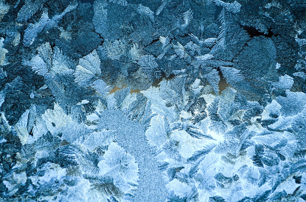 Painted the beauty of frost - Photo, Image
