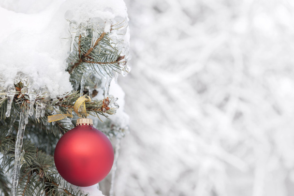 Červená vánoční ozdoba na venkovní strom - Fotografie, Obrázek