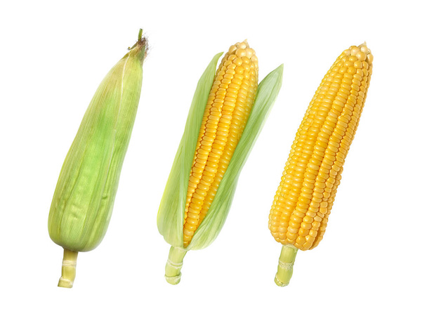 Set of Sweet corn isolated on white background - Foto, afbeelding