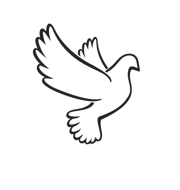 beautiful white peace dove outline - Vector, Image