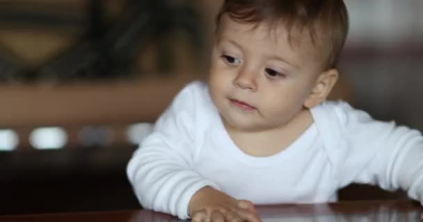 Baby toddler grabbing object from table. Curious infant touching everything discovering and exploring the world - Video