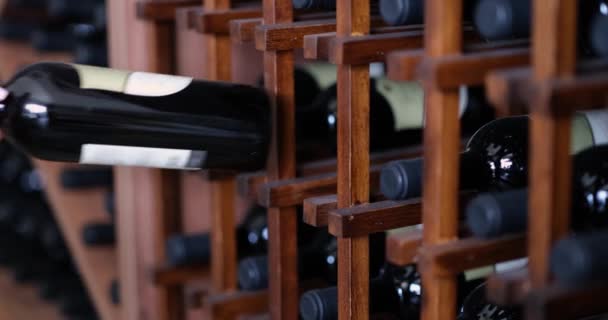 Person puts bottle of wine in wine cellar. - Video