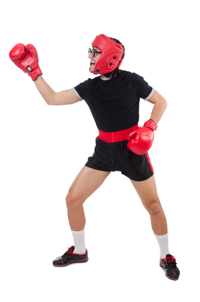 Funny boxer isolated on the white - Photo, Image