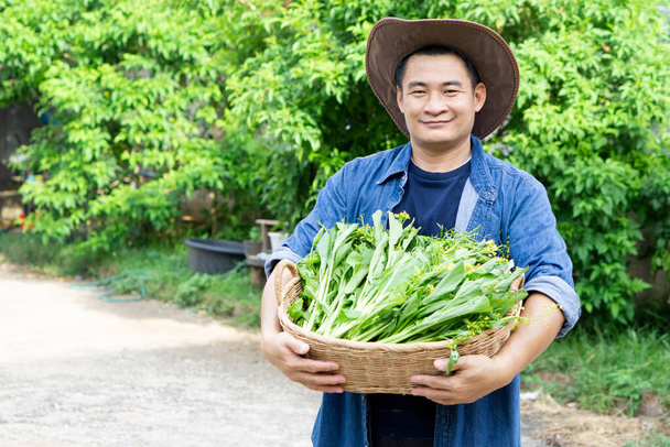 Портрет азиатского садовника держит корзину с овощами. Концепция: фермер выращивает свежие органические овощи для приготовления пищи, обмена соседям или продажи, доставки на дом. Тайский образ жизни.  - Фото, изображение