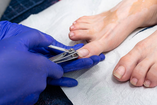 The manicurist cuts her toenails with a nail clipper wearing blue latex gloves. - Zdjęcie, obraz
