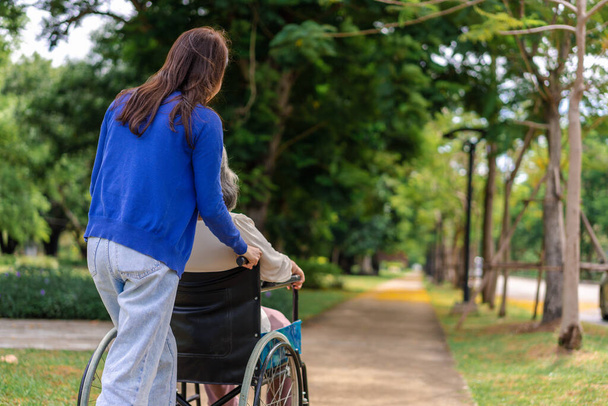 Tekerlekli sandalyedeki hastayla ilgilenen Asyalı dikkatli bir bakıcı ya da hemşire. Bakıcının, birikimin ve sağlık sigortasının özenle mutlu emeklilik kavramı. Mutlu bir aile. - Fotoğraf, Görsel
