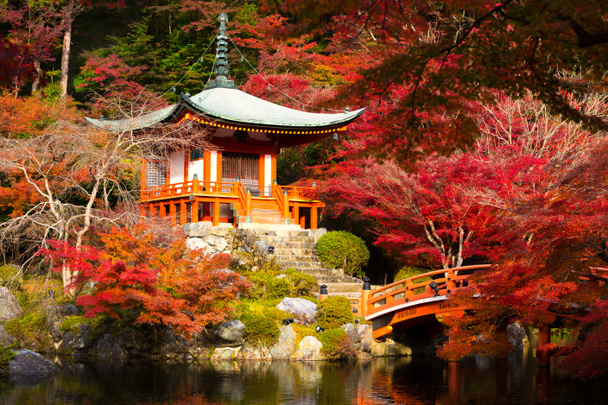 daigoji храм
 - Фото, зображення