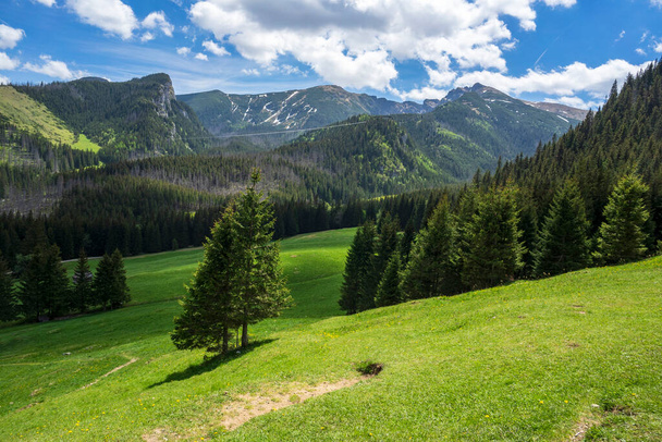 Great spring landscape in the Kalatowki Glade. Western Tatras. - Фото, зображення