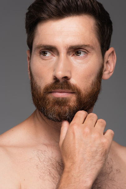 portrait of shirtless and pensive man touching beard isolated on grey - Fotografie, Obrázek