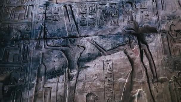 Картины на стене в древнеегипетском храме Абидоса - Кадры, видео