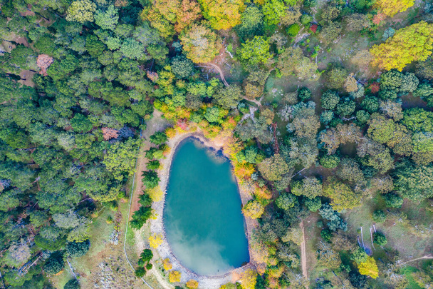 Youll always find peace when youre surrounded by nature. High angle shot of a lake in the middle of a beautiful forest - Fotografie, Obrázek