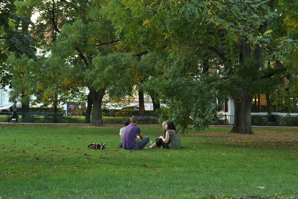 friends on picnic - Φωτογραφία, εικόνα