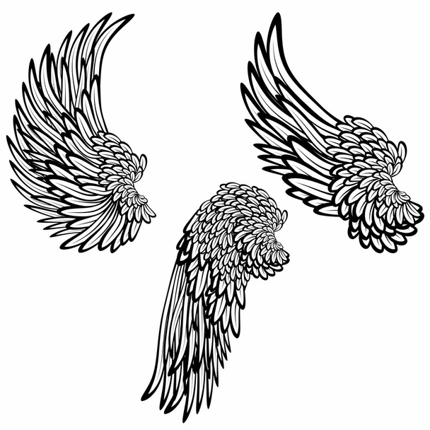 Набор крыльев
 - Вектор,изображение