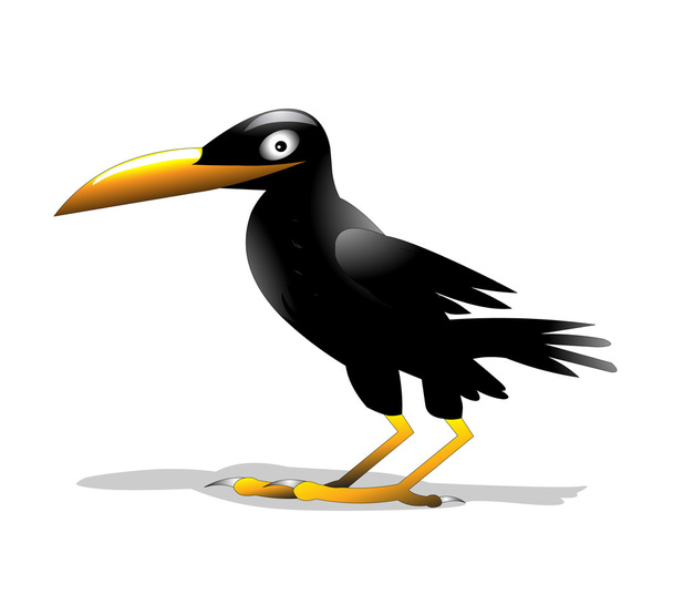 Solitary bird raven is insulated - Vektori, kuva