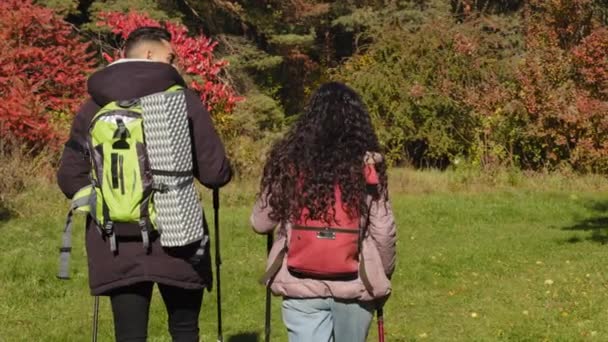 View back young active couple hikers travel in forest with backpacks enjoy Nordic walking outdoors tourists exploring area looking for right way paves route enjoying colorful scenery rest in nature - Filmagem, Vídeo
