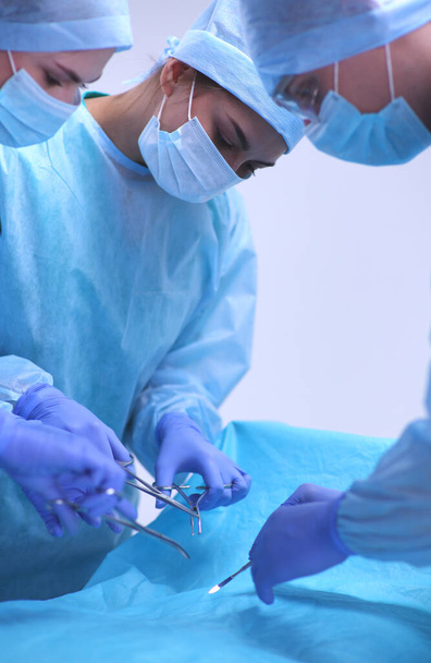 Team surgeon at work in operating. - Fotó, kép