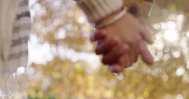 Love, affection and loving couple holding hands while bonding and spending time together outdoors at a park. Closeup of man and woman out for a romantic walk and fresh air on a casual date in autumn. - Filmati, video