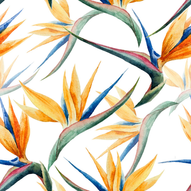 pattern, watercolor, flower - Photo, image