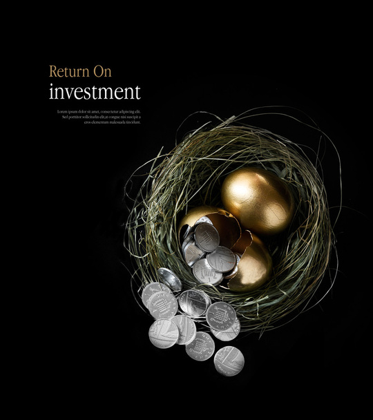 Return On Investment - Photo, Image