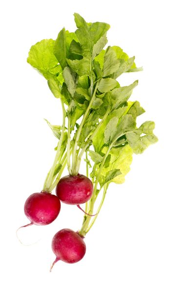 Radis rouge frais
 - Photo, image