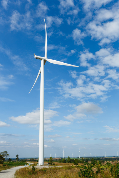 Wind turbines - Fotografie, Obrázek