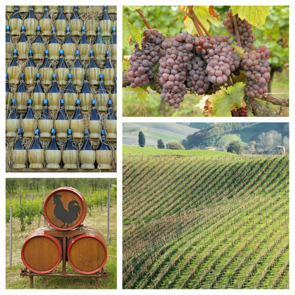 Chianti wine collage - Photo, Image