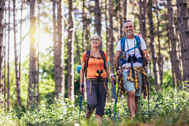 Idősebb pár túrázik az erdőben hátizsákban és turistapóznákban. Nordic walking, túrázás. Egészséges életmód. - Fotó, kép