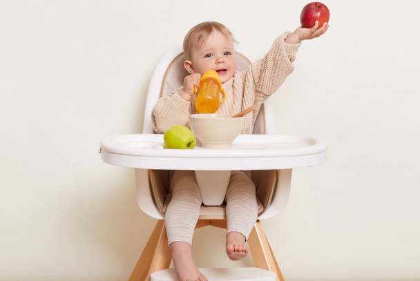 Image of charming baby wearing beige sweater sitting in a child's chair, isolated on a white background, infant kid holding yellow bottle of water and giving red apple to someone. - Foto, Imagem