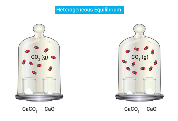 Процесс гетерогенного равновесия (CO2, г))) - Вектор,изображение