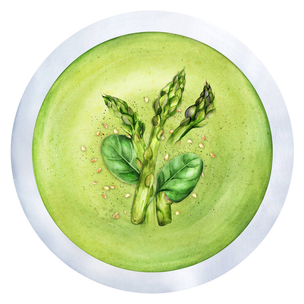 Asparagus cream soup. Green summer vegetable soup. Top view. Hand-drawn watercolor illustration. Suitable for menus and cookbook, restaurant  - Foto, Imagen