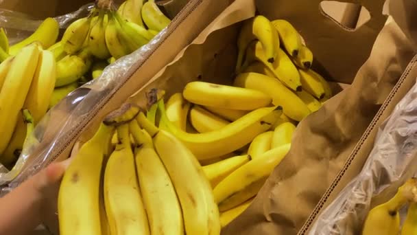 Мужчина выбирает свежий желтый банан в супермаркете. желтые бананы на полке - Кадры, видео
