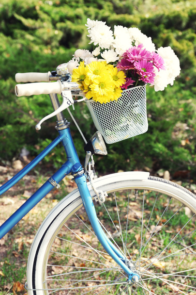 Bicycle with flowers in metal basket - Fotoğraf, Görsel