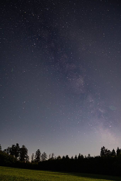 A vertical shot of a dark night sky full of stars in a green field - Фото, изображение