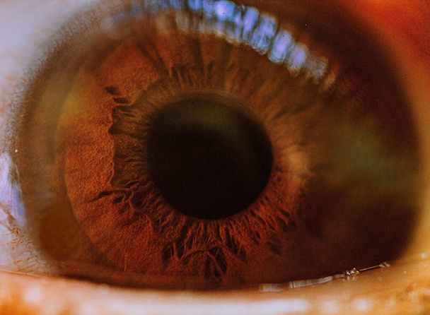 The human eye just works like a camera. It will collect light and creates information with the help of the brain that we call vision.T - Foto, Imagen