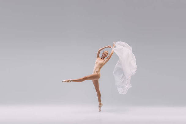 Портрет молодой нежной балерины, танцующей с прозрачной белой тканью на сером фоне студии. Классическое выступление. Концепция классического балета, вдохновения, красоты, танца, творчества - Фото, изображение