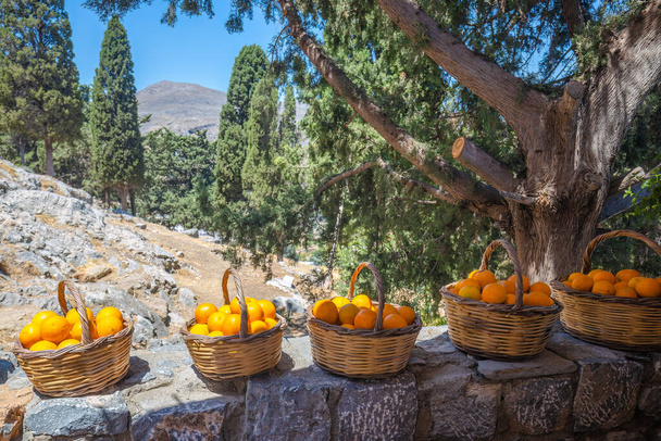 Straw baskets full of ripe oranges, Rhodes island, Greece, Europe. - Photo, image