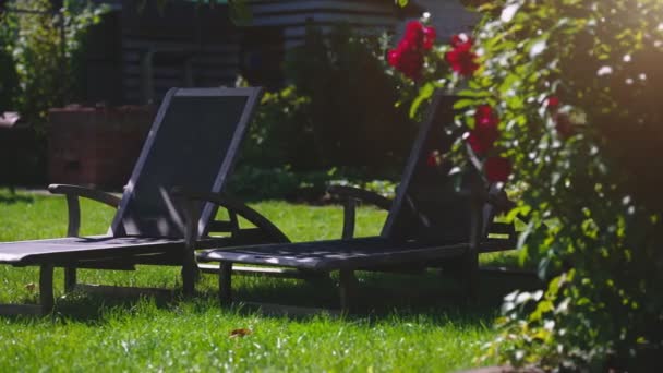 Two sun loungers in the garden at summer. - Metraje, vídeo